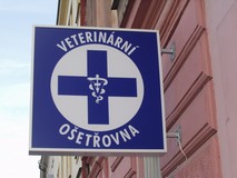 veter1