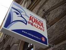sokol1